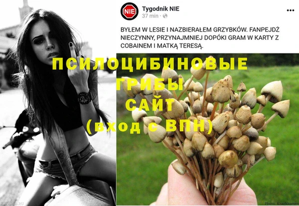 spice Беломорск